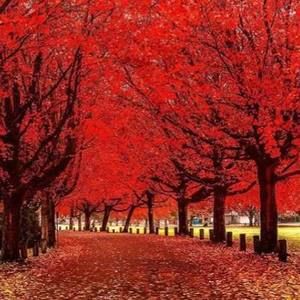 Meet your Posher, Mandy